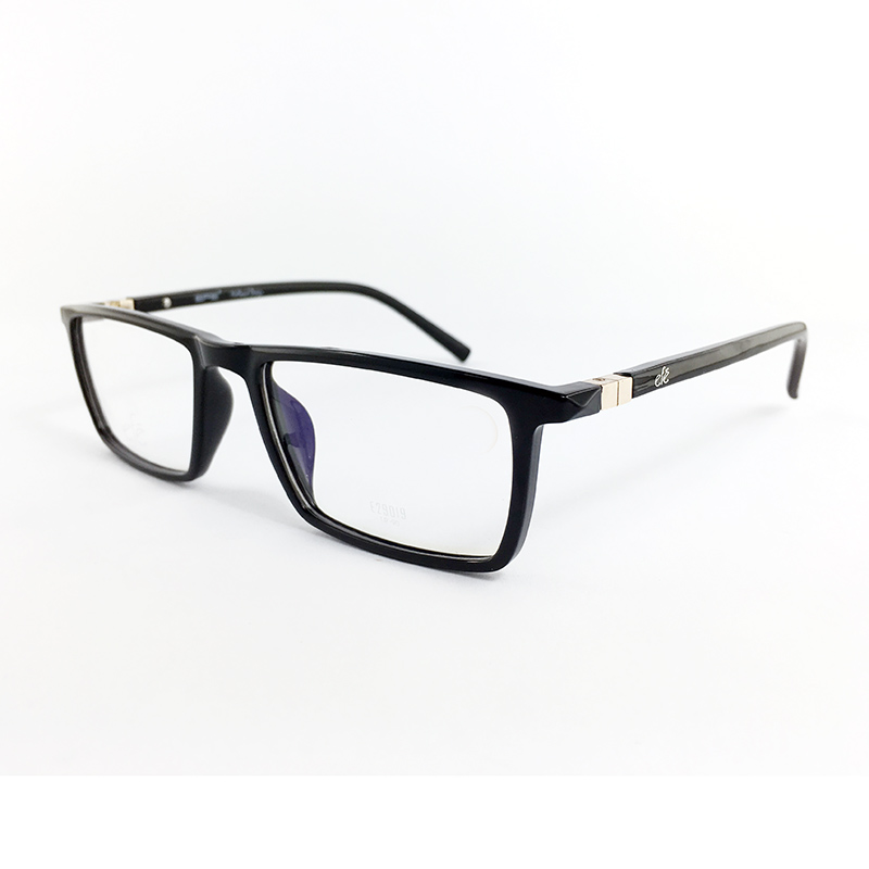 TR90 optical frame E29019