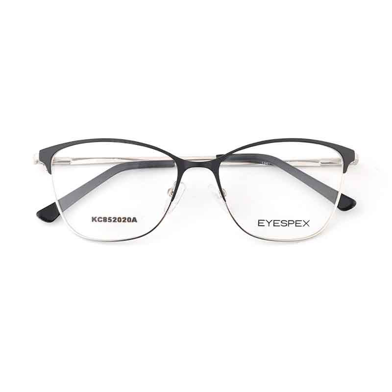 Stainless steel Optics Glasses